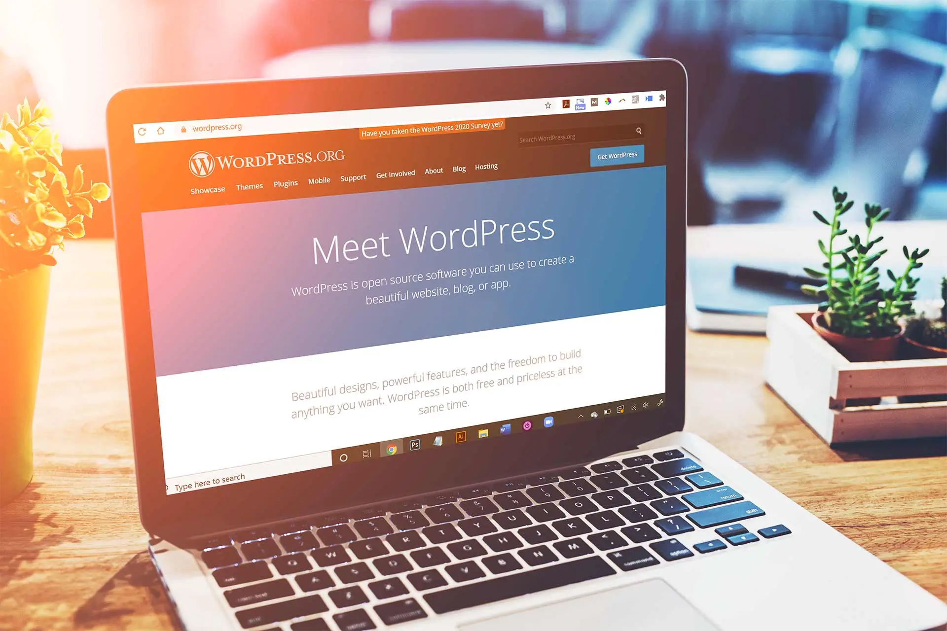 Extension Wordpress